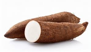 Yam botanical ingredient in Neuro Calm Pro supports inner ear nutrient absorption for tinnitus hearing health