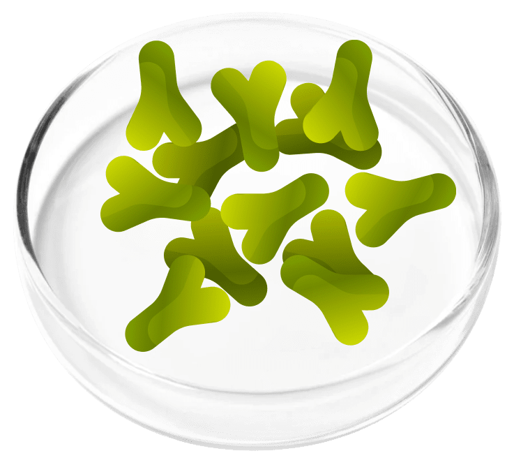 Lactobacillus Acidophilus probiotic strain in the FemiCore formula