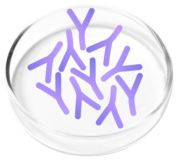 Lactobacillus Plantarum probiotic used in FemiCore bladder support supplement
