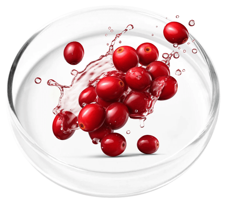 Cranberry extract in FemiCore to support urinary tract and bladder health